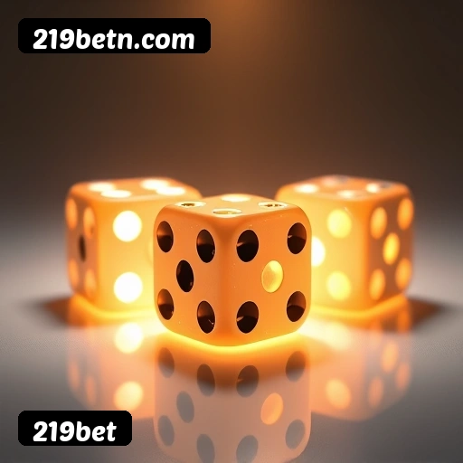 Recursos Exclusivos do App 219bet - Modo Offline, Login Biométrico